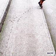 ���� �����������, ����� @landri