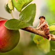 ��������� � ������.jpg