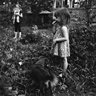 Demidovy web 026.jpg