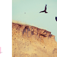 037-00 15-20_10�� �����.jpg