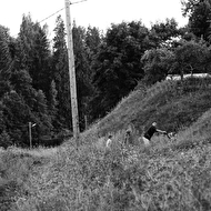 summer 14 web 222.jpg