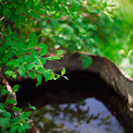 creative life_135.jpg