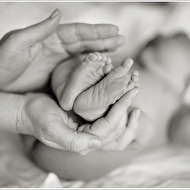 IMG_0162 copyweb.jpg