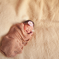 ���� (19 of 24).jpg