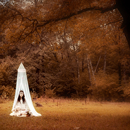 web25082012 (14).jpg