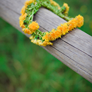 creative life_196.jpg