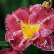 Oleg's summer_54_web.jpg