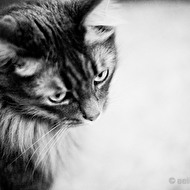 Wowka 10.03.10_15.JPG