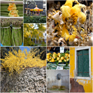 ������ �����.jpg