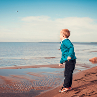 ����-41 ����.jpg