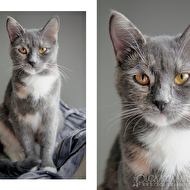 ���� ��������� - ����� :)