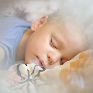 Oleg's summer_37_web.jpg