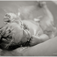 IMG_0119 copyweb.jpg