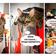 ������ �������