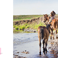 036-00 15-20_10�� �����.jpg