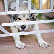 Oleg's summer_31_web.jpg