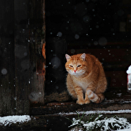 1��� ������ � ������� ..���� ��� �� ����� ��� ��� 